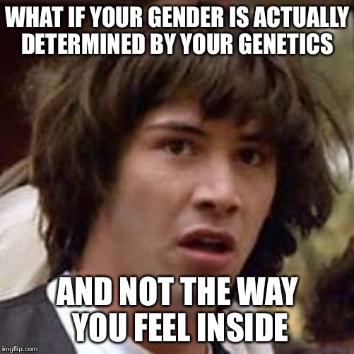 Seems sort of simple... | WHAT IF YOUR GENDER IS ACTUALLY DETERMINED BY YOUR GENETICS; AND NOT THE WAY YOU FEEL INSIDE | image tagged in memes,conspiracy keanu,gender identity,confusion | made w/ Imgflip meme maker