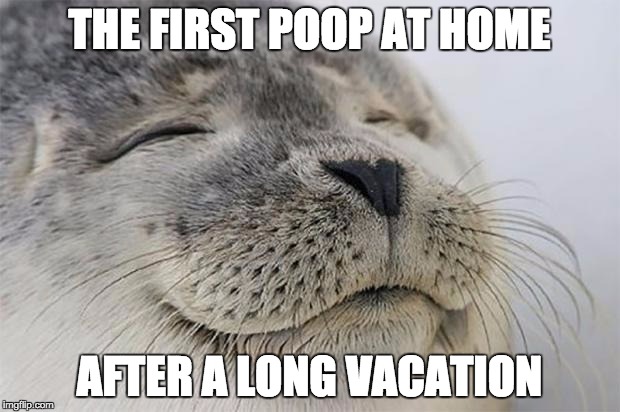 Satisfied Seal Meme | THE FIRST POOP AT HOME; AFTER A LONG VACATION | image tagged in memes,satisfied seal,AdviceAnimals | made w/ Imgflip meme maker