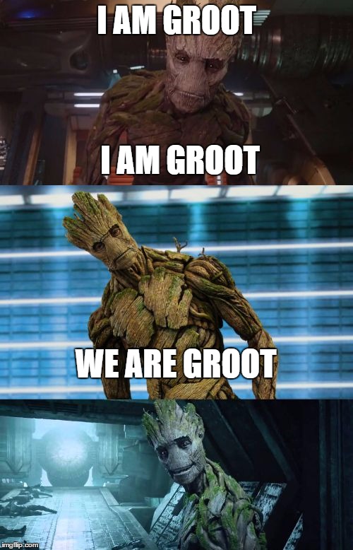 Bad Pun Groot | I AM GROOT; I AM GROOT; WE ARE GROOT | image tagged in bad pun groot,memes,funny | made w/ Imgflip meme maker