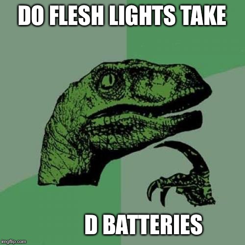 Philosoraptor | DO FLESH LIGHTS TAKE; D BATTERIES | image tagged in memes,philosoraptor | made w/ Imgflip meme maker