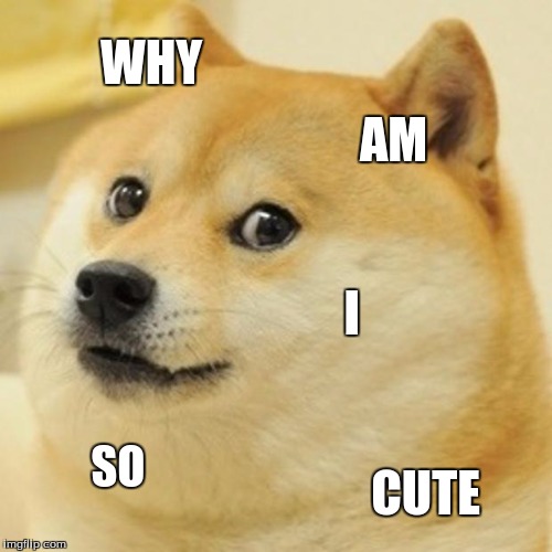 Doge Meme | WHY; AM; I; SO; CUTE | image tagged in memes,doge | made w/ Imgflip meme maker