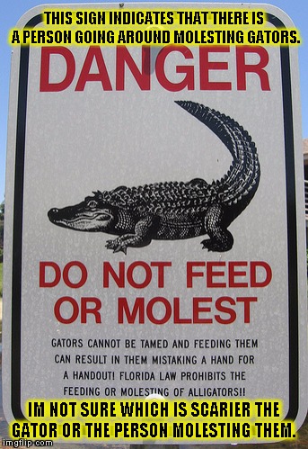 wtf gator! | THIS SIGN INDICATES THAT THERE IS A PERSON GOING AROUND MOLESTING GATORS. IM NOT SURE WHICH IS SCARIER THE GATOR OR THE PERSON MOLESTING THEM. | image tagged in funny,signs/billboards,memes,gators,danger | made w/ Imgflip meme maker
