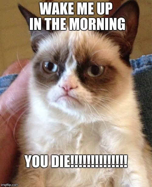 Grumpy Cat Meme | WAKE ME UP IN THE MORNING; YOU DIE!!!!!!!!!!!!!! | image tagged in memes,grumpy cat | made w/ Imgflip meme maker