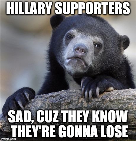 Confession Bear | HILLARY SUPPORTERS; SAD, CUZ THEY KNOW THEY'RE GONNA LOSE | image tagged in memes,confession bear | made w/ Imgflip meme maker