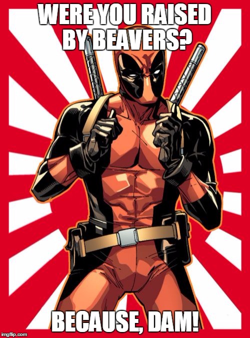 Deadpool Pick Up Lines Meme | WERE YOU RAISED BY BEAVERS? BECAUSE, DAM! | image tagged in memes,deadpool pick up lines | made w/ Imgflip meme maker
