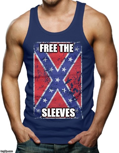 ConfederateTank | FREE THE; SLEEVES | image tagged in humor | made w/ Imgflip meme maker