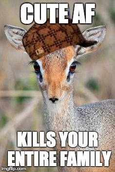 CUTE AF; KILLS YOUR ENTIRE FAMILY | made w/ Imgflip meme maker
