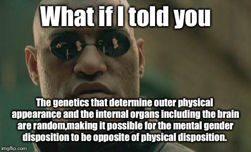 Matrix Morpheus | What if I told you; The genetics that determine outer physical appearance and the internal organs including the brain are random,making it possible for the mental gender disposition to be opposite of physical disposition. | image tagged in memes,matrix morpheus | made w/ Imgflip meme maker