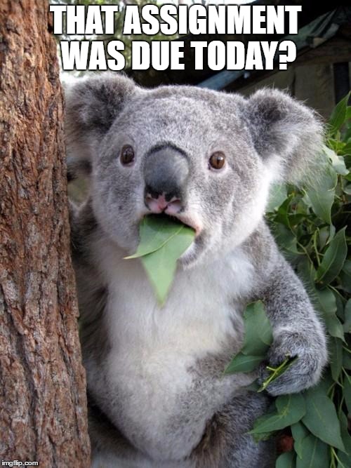 Surprised Koala | THAT ASSIGNMENT WAS DUE TODAY? | image tagged in memes,surprised koala | made w/ Imgflip meme maker