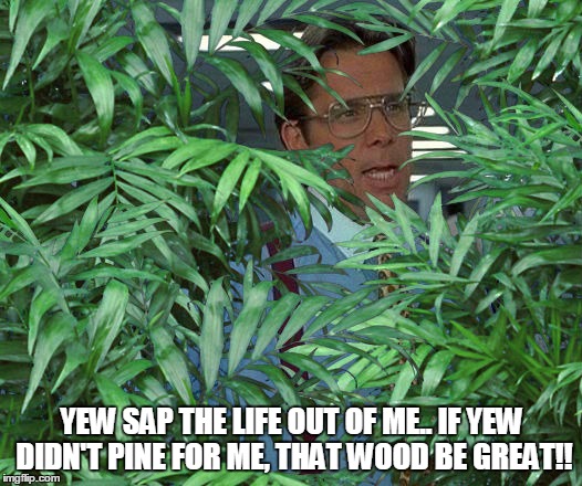 YEW SAP THE LIFE OUT OF ME.. IF YEW DIDN'T PINE FOR ME, THAT WOOD BE GREAT!! | made w/ Imgflip meme maker