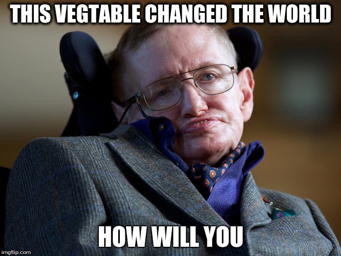 CHANGE THE WORLD | THIS VEGTABLE CHANGED THE WORLD; HOW WILL YOU | image tagged in funny,stephen,hawking,bad luck brian,memes,vegtebals | made w/ Imgflip meme maker