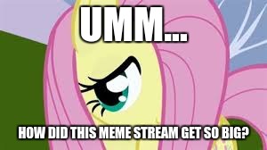 Shy Fluttershy | UMM... HOW DID THIS MEME STREAM GET SO BIG? | image tagged in shy fluttershy | made w/ Imgflip meme maker