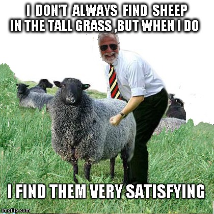  Most Popular guy  | I  DON'T  ALWAYS  FIND  SHEEP  IN THE TALL GRASS ,BUT WHEN I DO; I FIND THEM VERY SATISFYING | image tagged in funny,funny meme,sheep | made w/ Imgflip meme maker