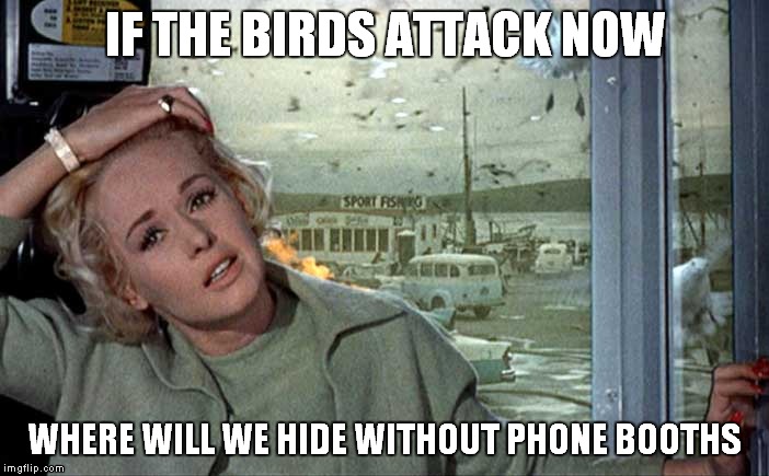 IF THE BIRDS ATTACK NOW WHERE WILL WE HIDE WITHOUT PHONE BOOTHS | made w/ Imgflip meme maker
