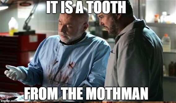 IT IS A TOOTH FROM THE MOTHMAN | made w/ Imgflip meme maker