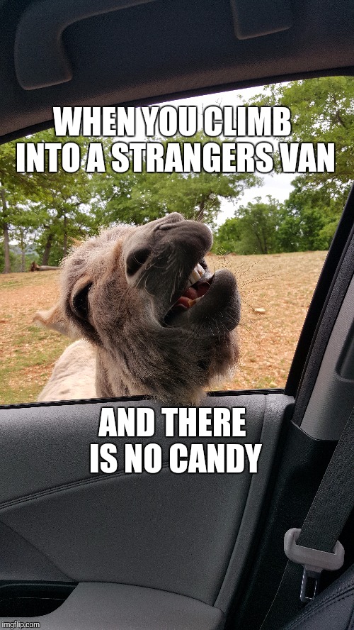 WHEN YOU CLIMB INTO A STRANGERS VAN; AND THERE IS NO CANDY | image tagged in funny memes | made w/ Imgflip meme maker