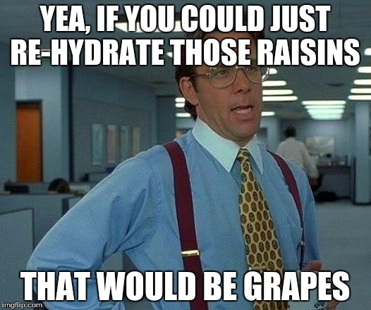 That Would Be Great Meme | YEA, IF YOU COULD JUST RE-HYDRATE THOSE RAISINS; THAT WOULD BE GRAPES | image tagged in memes,that would be great | made w/ Imgflip meme maker