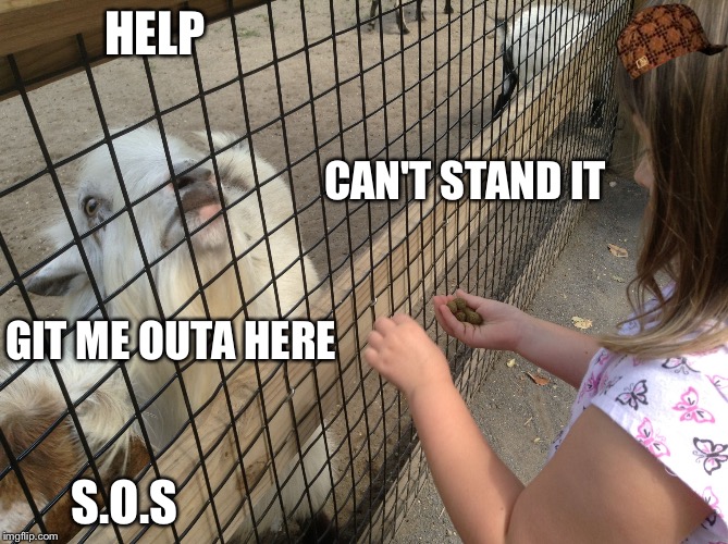 HELP; CAN'T STAND IT; GIT ME OUTA HERE; S.O.S | image tagged in git me outa here,scumbag | made w/ Imgflip meme maker