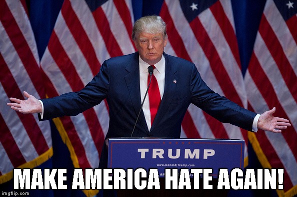 Donald Trump | MAKE AMERICA HATE AGAIN! | image tagged in donald trump | made w/ Imgflip meme maker