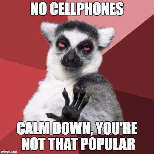 Chill Out Lemur | NO CELLPHONES; CALM DOWN, YOU'RE NOT THAT POPULAR | image tagged in memes,chill out lemur | made w/ Imgflip meme maker