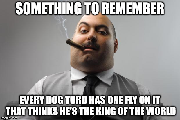 Scumbag Boss Meme | SOMETHING TO REMEMBER; EVERY DOG TURD HAS ONE FLY ON IT THAT THINKS HE'S THE KING OF THE WORLD | image tagged in memes,scumbag boss | made w/ Imgflip meme maker