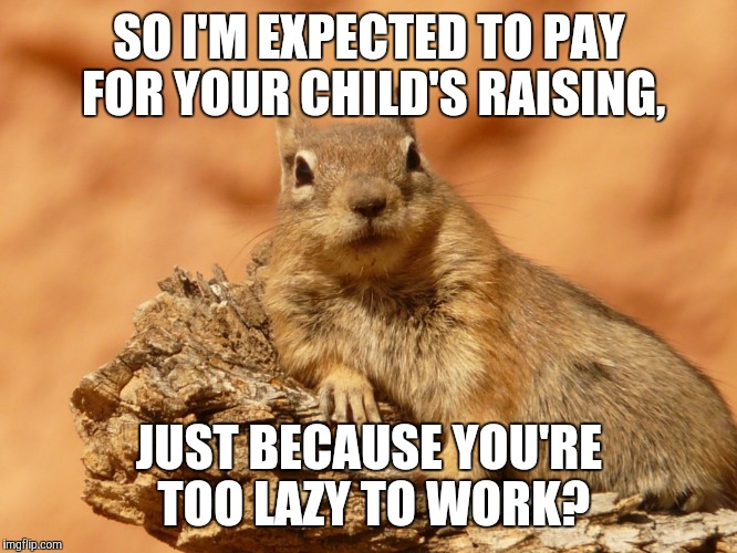 Social Expectations Squirrel | SO I'M EXPECTED TO PAY FOR YOUR CHILD'S RAISING, JUST BECAUSE YOU'RE TOO LAZY TO WORK? | image tagged in social expectations squirrel | made w/ Imgflip meme maker
