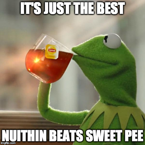 But That's None Of My Business | IT'S JUST THE BEST; NUITHIN BEATS SWEET PEE | image tagged in memes,but thats none of my business,kermit the frog | made w/ Imgflip meme maker