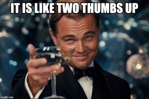 Leonardo Dicaprio Cheers Meme | IT IS LIKE TWO THUMBS UP | image tagged in memes,leonardo dicaprio cheers | made w/ Imgflip meme maker