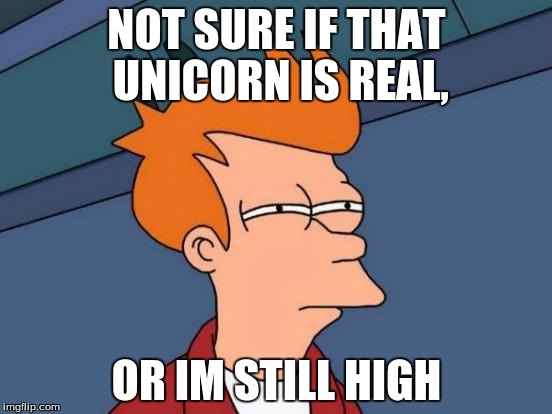This happened at a party | NOT SURE IF THAT UNICORN IS REAL, OR IM STILL HIGH | image tagged in memes,futurama fry | made w/ Imgflip meme maker