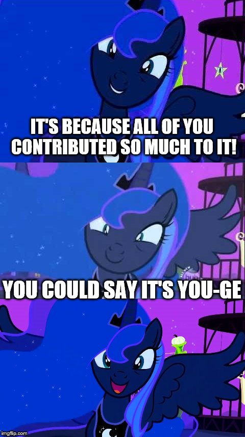 IT'S BECAUSE ALL OF YOU CONTRIBUTED SO MUCH TO IT! YOU COULD SAY IT'S YOU-GE | image tagged in bad pun luna | made w/ Imgflip meme maker