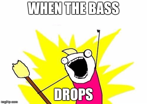 X All The Y Meme | WHEN THE BASS; DROPS | image tagged in memes,x all the y | made w/ Imgflip meme maker