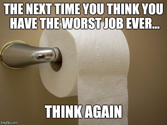 This Meme Stinks | THE NEXT TIME YOU THINK YOU HAVE THE WORST JOB EVER... THINK AGAIN | image tagged in toilet paper,toilet humor,memes,funny,hilarious,do your job | made w/ Imgflip meme maker