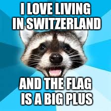 Joke Racoon | I LOVE LIVING IN SWITZERLAND; AND THE FLAG IS A BIG PLUS | image tagged in joke racoon,puns | made w/ Imgflip meme maker