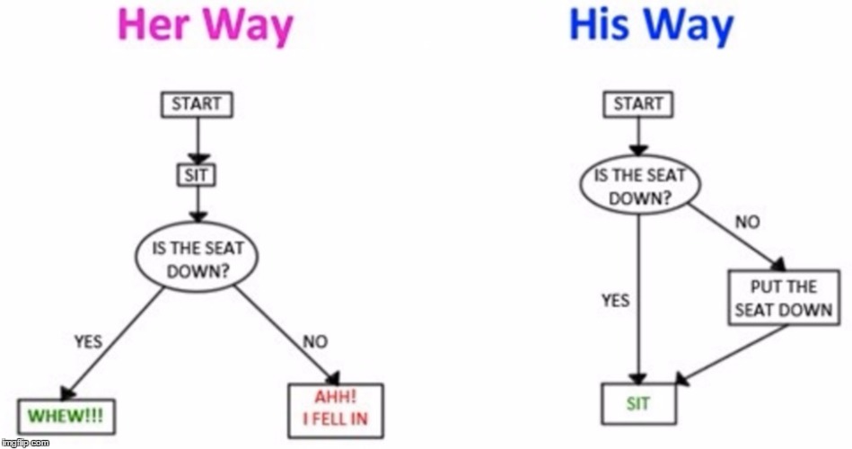 His n Hers Flow Chart | . | image tagged in memes,funny,gender,bathroom,marriage,splash | made w/ Imgflip meme maker