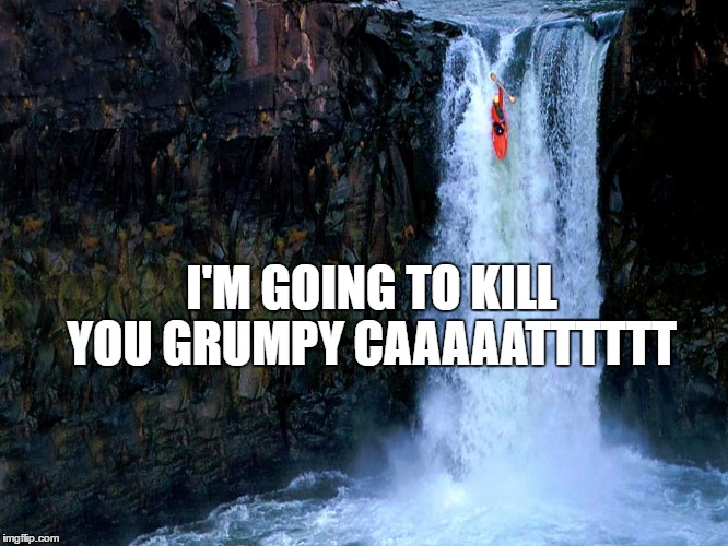 I'M GOING TO KILL  YOU GRUMPY CAAAAATTTTTT | made w/ Imgflip meme maker