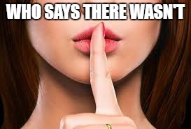 WHO SAYS THERE WASN'T | image tagged in ashley madison | made w/ Imgflip meme maker