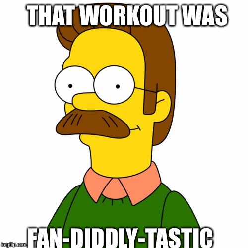 Ned Flanders | THAT WORKOUT WAS; FAN-DIDDLY-TASTIC | image tagged in ned flanders | made w/ Imgflip meme maker