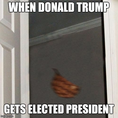 Scumbag Steve Gone | WHEN DONALD TRUMP; GETS ELECTED PRESIDENT | image tagged in scumbag steve gone | made w/ Imgflip meme maker