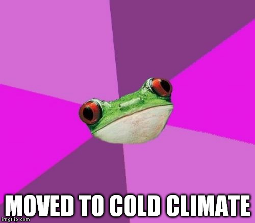 MOVED TO COLD CLIMATE | made w/ Imgflip meme maker