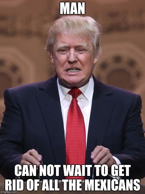 Donald Trump | MAN; CAN NOT WAIT TO GET RID OF ALL THE MEXICANS | image tagged in donald trump | made w/ Imgflip meme maker