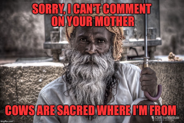 Yo Momma Is so Fat She Went To India and.... | SORRY, I CAN'T COMMENT ON YOUR MOTHER; COWS ARE SACRED WHERE I'M FROM | image tagged in hinduism,awesomeness,memes,lol | made w/ Imgflip meme maker