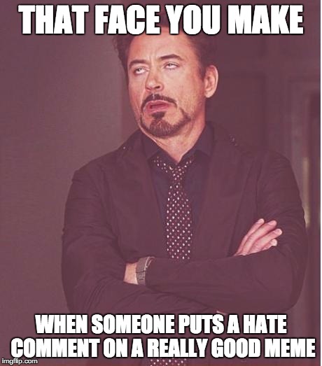 Face You Make Robert Downey Jr Meme | THAT FACE YOU MAKE; WHEN SOMEONE PUTS A HATE COMMENT ON A REALLY GOOD MEME | image tagged in memes,face you make robert downey jr | made w/ Imgflip meme maker