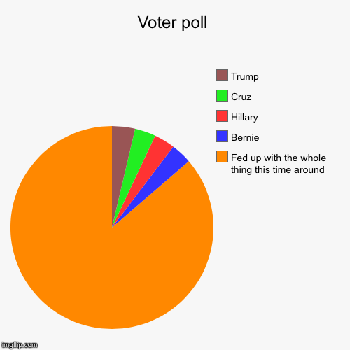 image tagged in funny,pie charts | made w/ Imgflip chart maker
