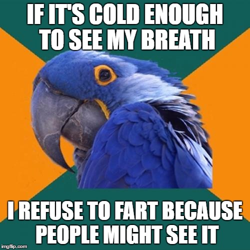 Paranoid Parrot | IF IT'S COLD ENOUGH TO SEE MY BREATH; I REFUSE TO FART BECAUSE PEOPLE MIGHT SEE IT | image tagged in memes,paranoid parrot,AdviceAnimals | made w/ Imgflip meme maker