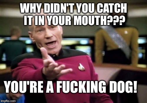 Picard Wtf Meme | WHY DIDN'T YOU CATCH IT IN YOUR MOUTH??? YOU'RE A F**KING DOG! | image tagged in memes,picard wtf | made w/ Imgflip meme maker