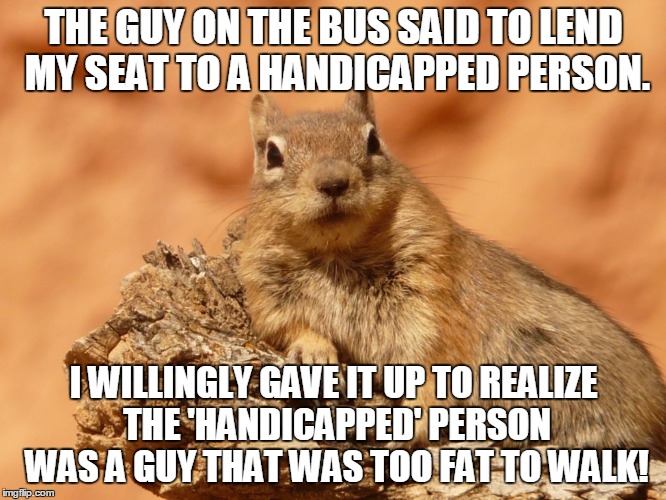 Social Expectations Squirrel | THE GUY ON THE BUS SAID TO LEND MY SEAT TO A HANDICAPPED PERSON. I WILLINGLY GAVE IT UP TO REALIZE THE 'HANDICAPPED' PERSON WAS A GUY THAT WAS TOO FAT TO WALK! | image tagged in memes,social expectations squirrel | made w/ Imgflip meme maker