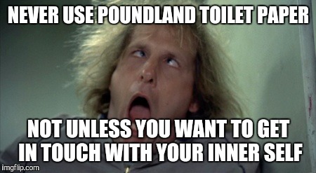 Scary Harry | NEVER USE POUNDLAND TOILET PAPER; NOT UNLESS YOU WANT TO GET IN TOUCH WITH YOUR INNER SELF | image tagged in memes,scary harry | made w/ Imgflip meme maker