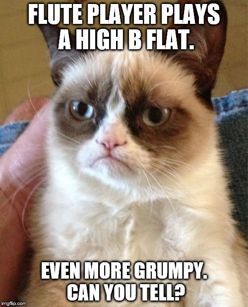 Grumpy Cat | FLUTE PLAYER PLAYS A HIGH B FLAT. EVEN MORE GRUMPY. CAN YOU TELL? | image tagged in memes,grumpy cat | made w/ Imgflip meme maker