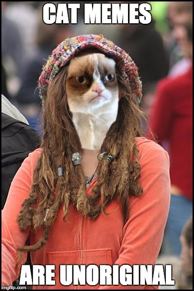 Behold! The College Grumpy Cat! | CAT MEMES; ARE UNORIGINAL | image tagged in college grumpy cat | made w/ Imgflip meme maker