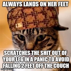 Scumbag Cat | ALWAYS LANDS ON HER FEET; SCRATCHES THE SHIT OUT OF YOUR LEG IN A PANIC TO AVOID FALLING 2 FEET OFF THE COUCH | image tagged in scumbag cat,AdviceAnimals | made w/ Imgflip meme maker